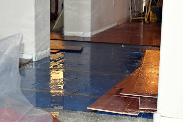 Professional Burst Pipe Water Damage technician working in Wheaton, IL